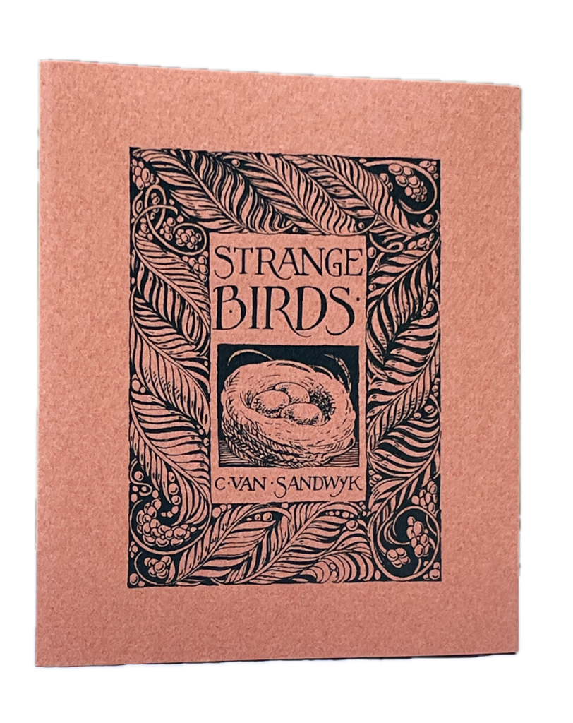 Strange Birds. A book of nonsense.