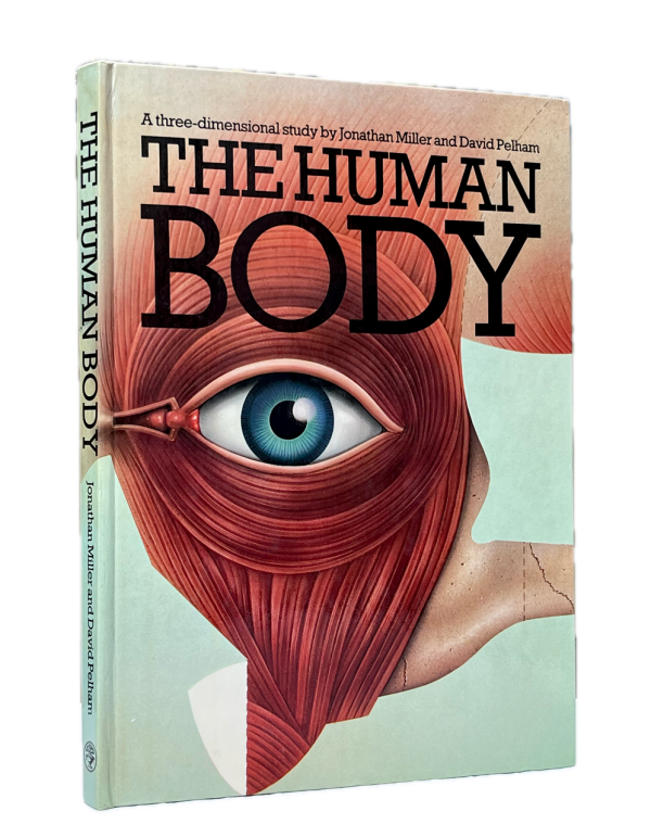 The Human Body.