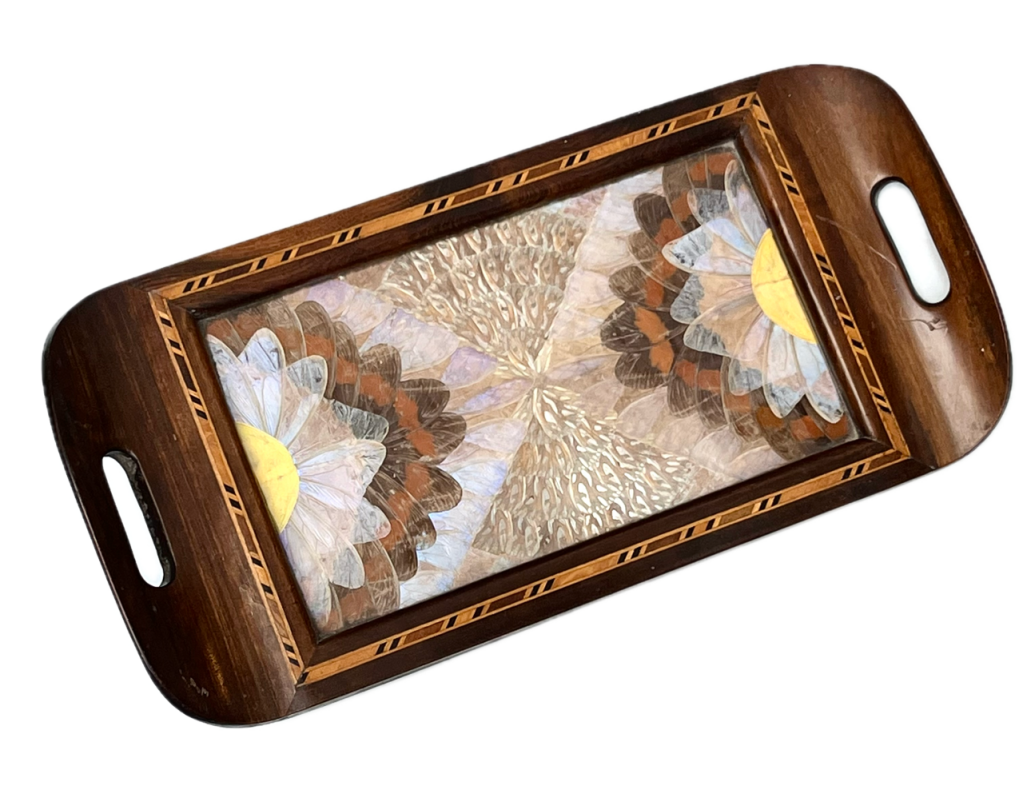 1930s' Brazilian butterfly-wing drinks' tray.