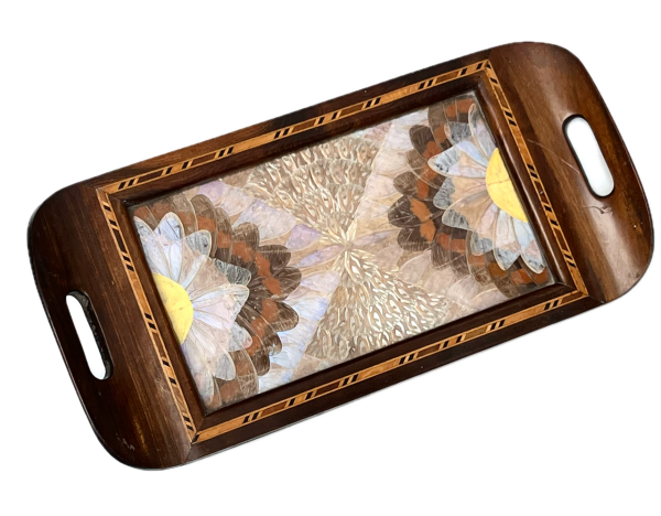 1930s' Brazilian butterfly-wing drinks' tray.